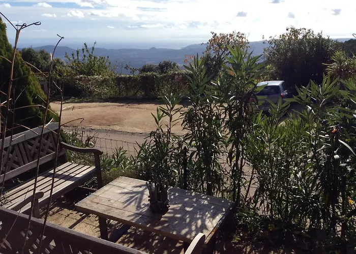 A Tigliola 3*
